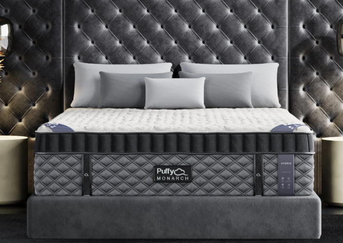 Premium Puffy Mattress