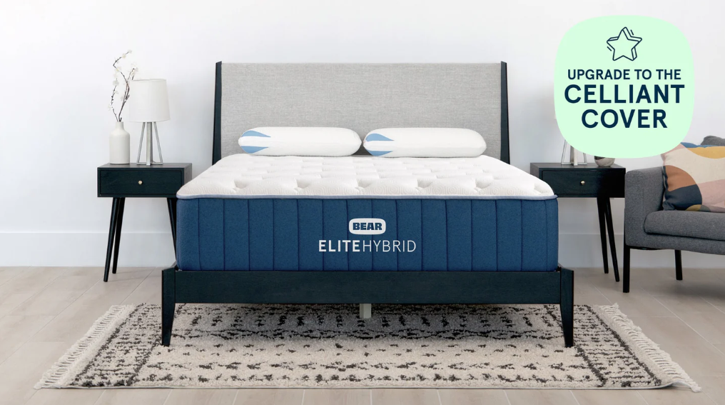 Bear Elite Hybrid Mattress — Plush - Image 7