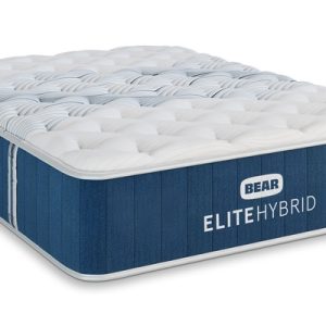 Bear Elite 14″ Luxury Hybrid Plush